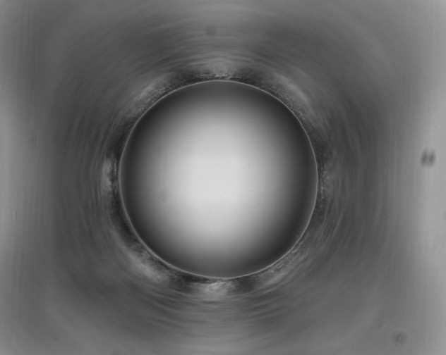 X0000097830122200803141154