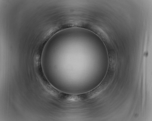 X0000097830123200803141154