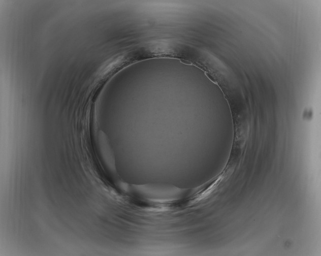 X0000097830124200803141154