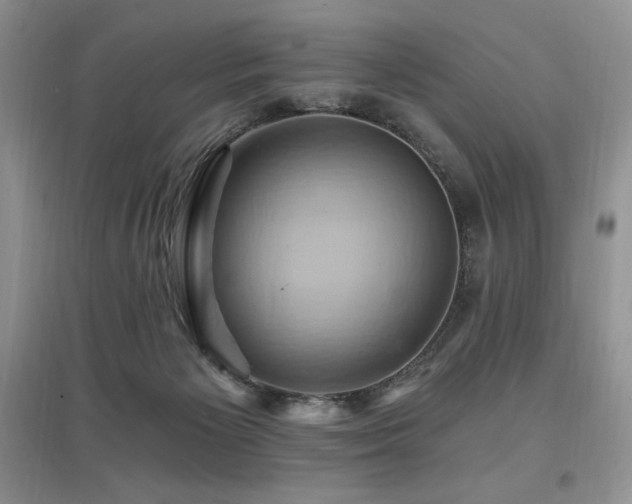 X0000097830125200803141154