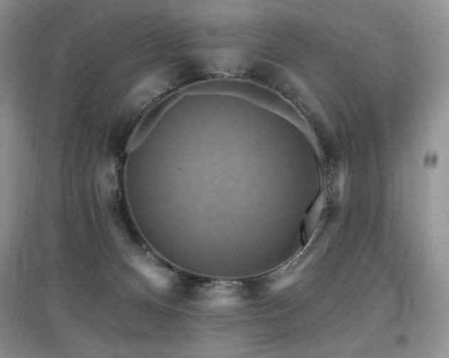 X0000097830128200803141154