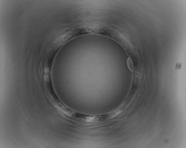 X0000097830130200803141154