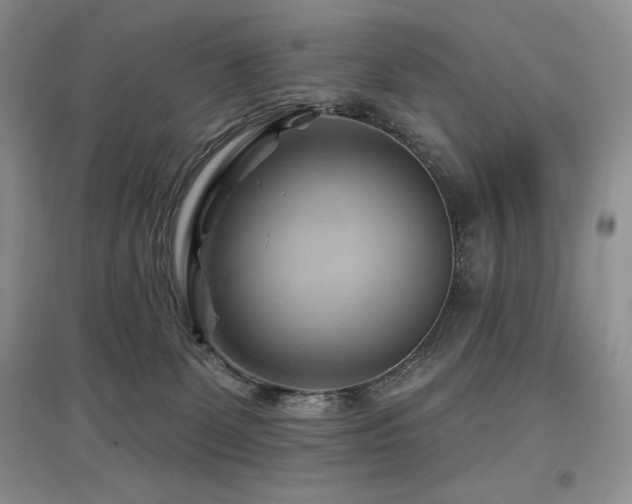 X0000097830131200803141154