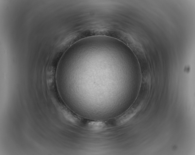X0000097830133200803141154