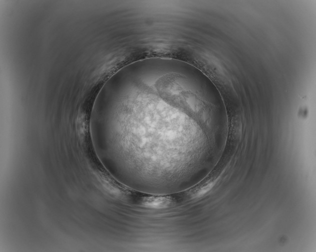X0000097830135200803141154