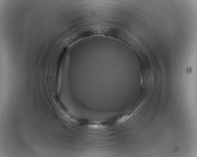 X0000097830137200803141154