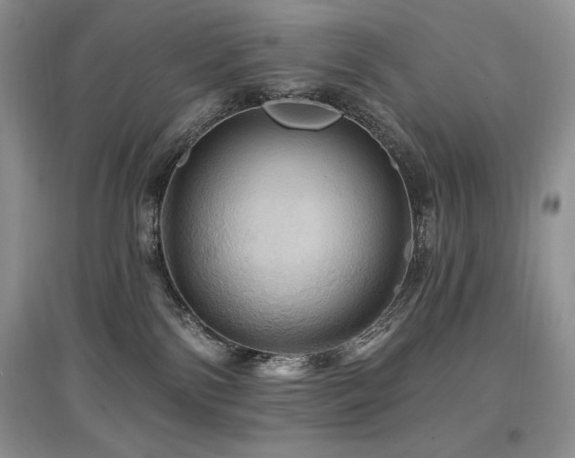 X0000097830138200803141154