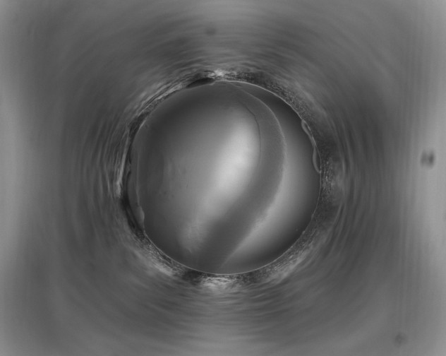 X0000097830139200803141154