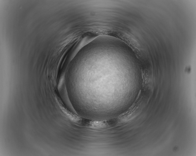 X0000097830141200803141153