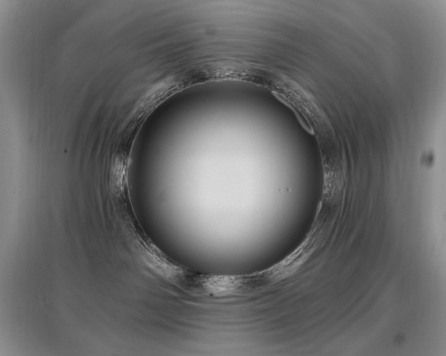 X0000097830142200803141153