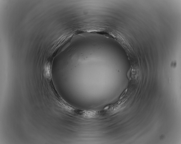 X0000097830143200803141153