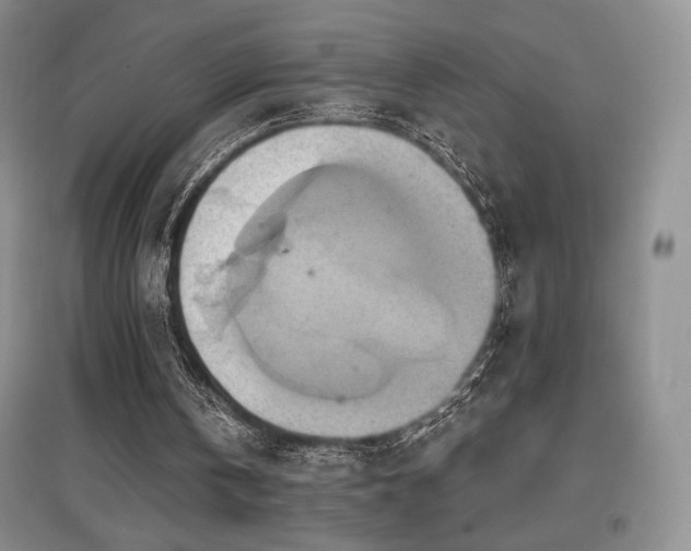 X0000097830146200803141153