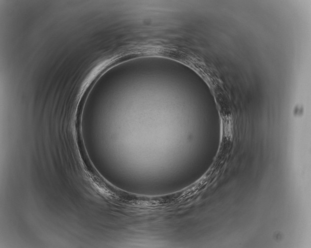 X0000097830147200803141153