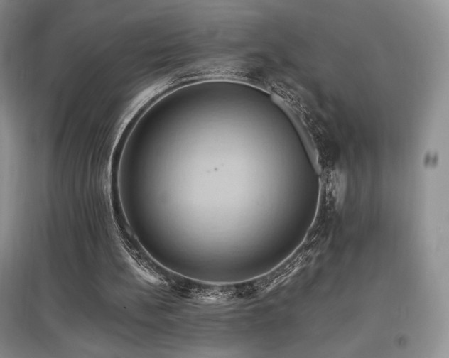 X0000097830148200803141153