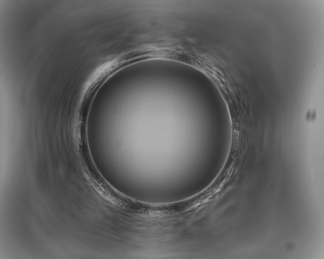 X0000097830149200803141153