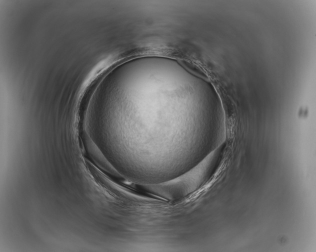 X0000097830150200803141153
