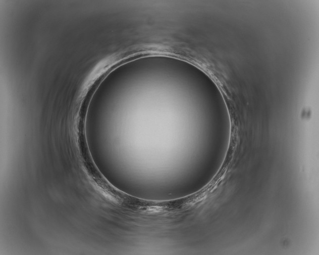 X0000097830151200803141153