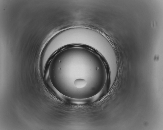 X0000097830152200803141153