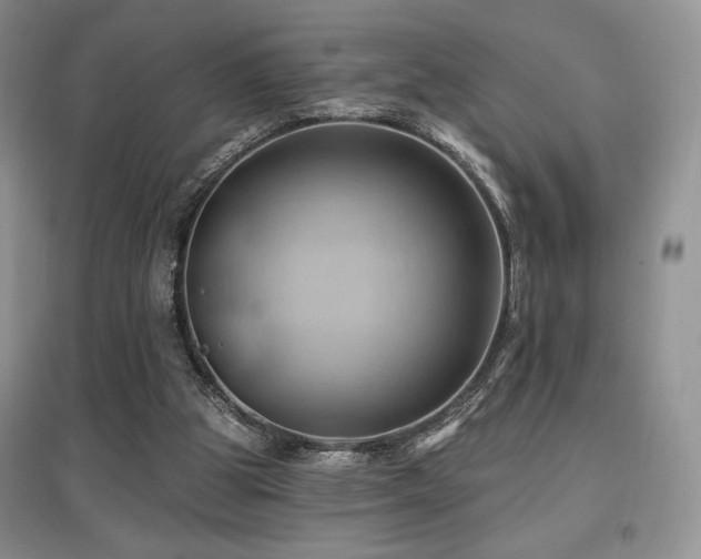 X0000097830153200803141153