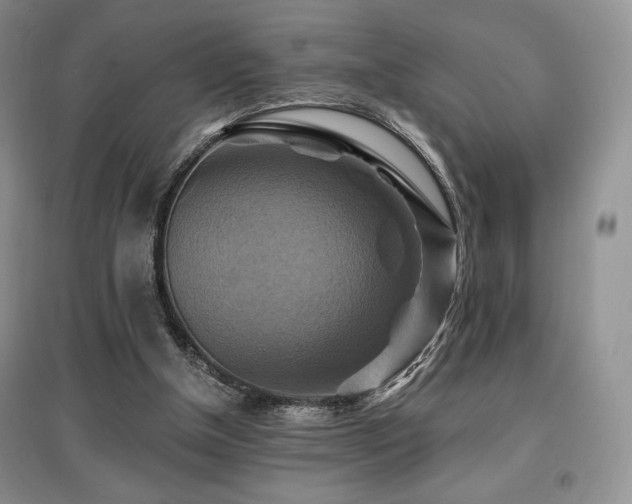 X0000097830154200803141153