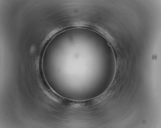 X0000097830155200803141153