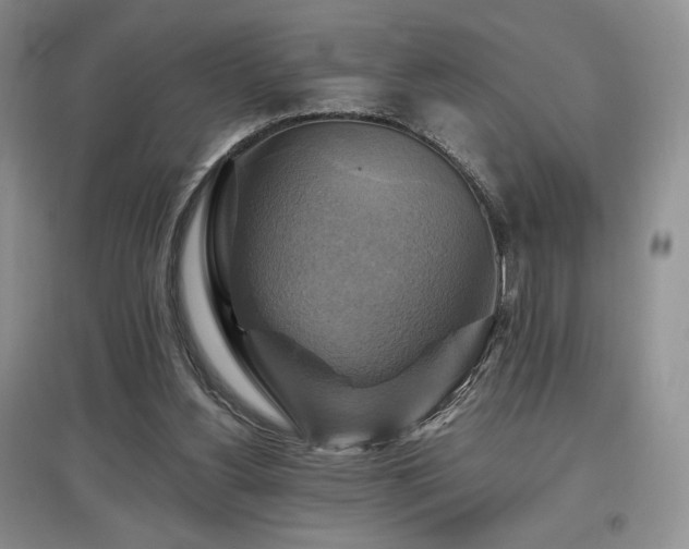 X0000097830156200803141153