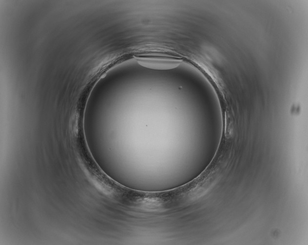 X0000097830157200803141153