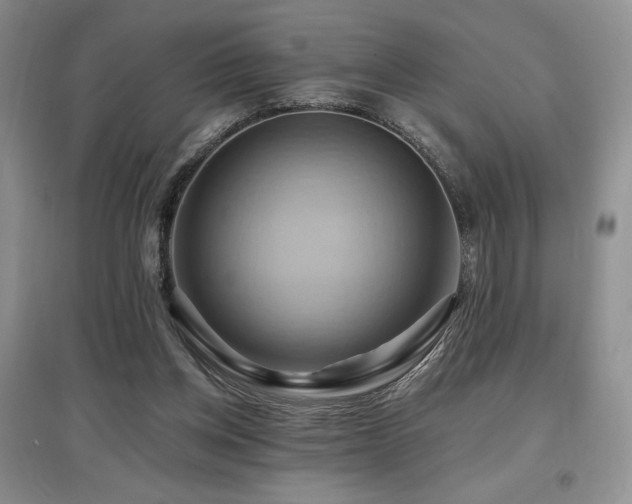 X0000097830158200803141153