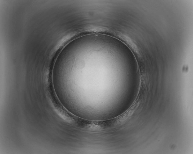 X0000097830159200803141153