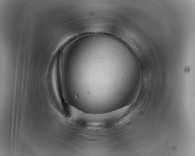 X0000097830160200803141153