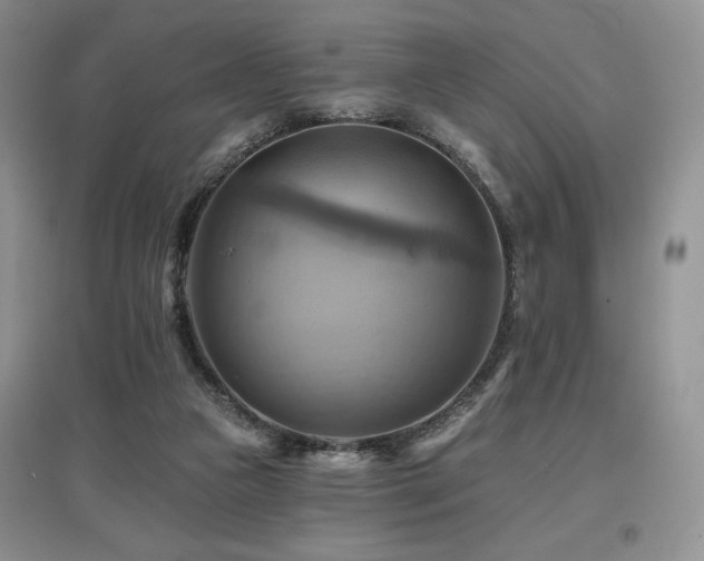 X0000097830161200803141153