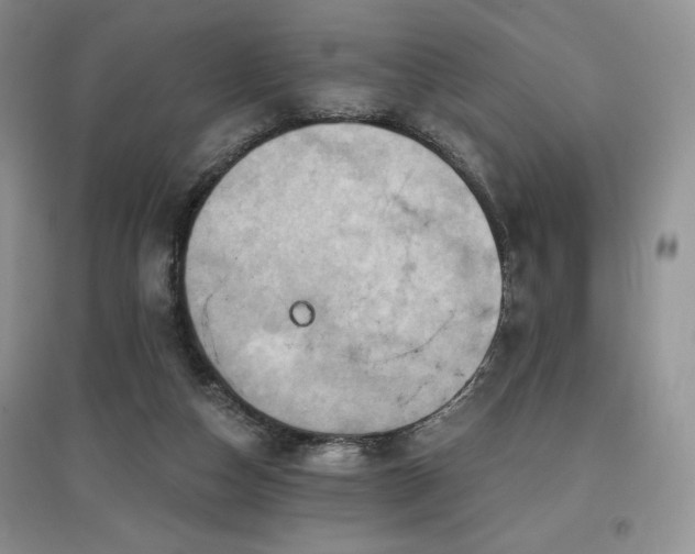 X0000097830162200803141153