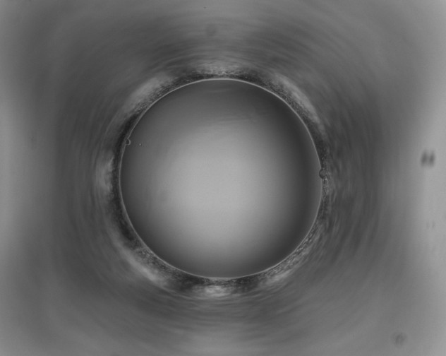 X0000097830163200803141153