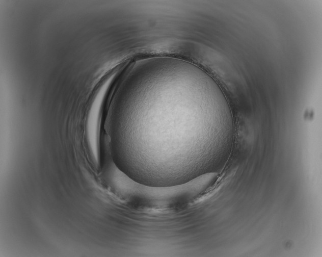 X0000097830164200803141153