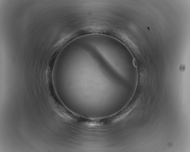 X0000097830165200803141153