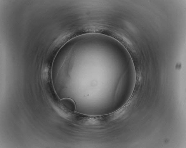 X0000097830166200803141153