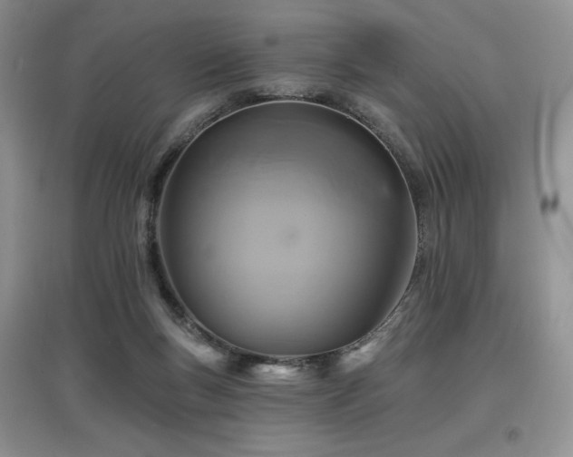 X0000097830167200803141153