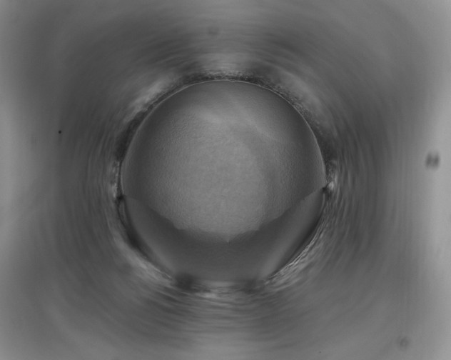 X0000097830168200803141153