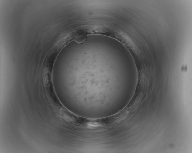 X0000097830169200803141153