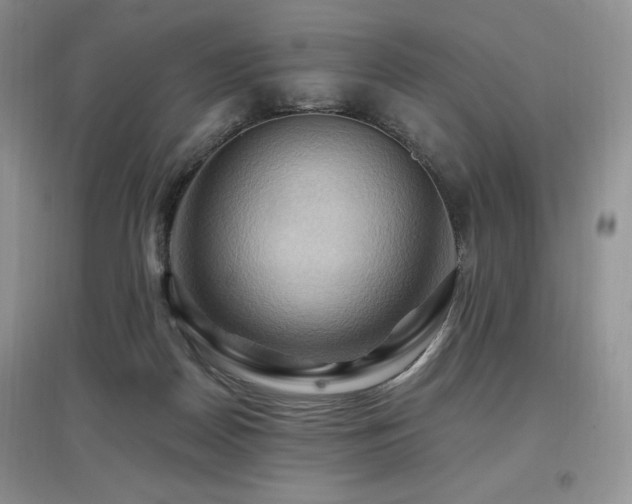 X0000097830170200803141153