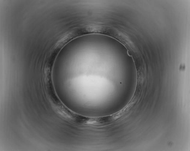 X0000097830171200803141153