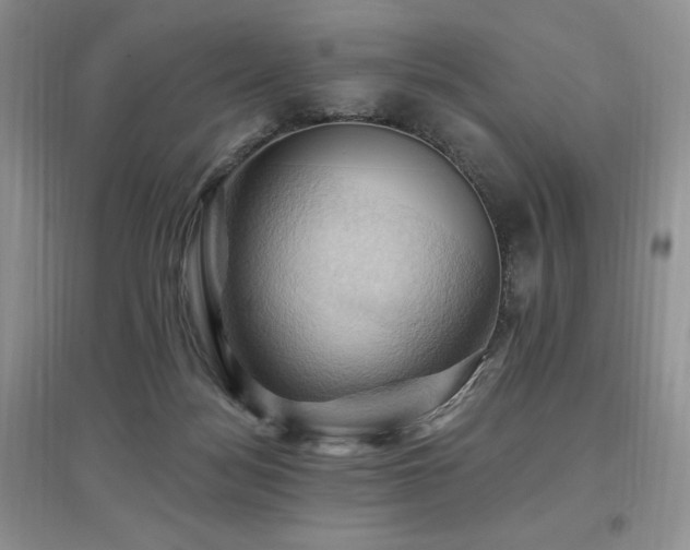 X0000097830172200803141153