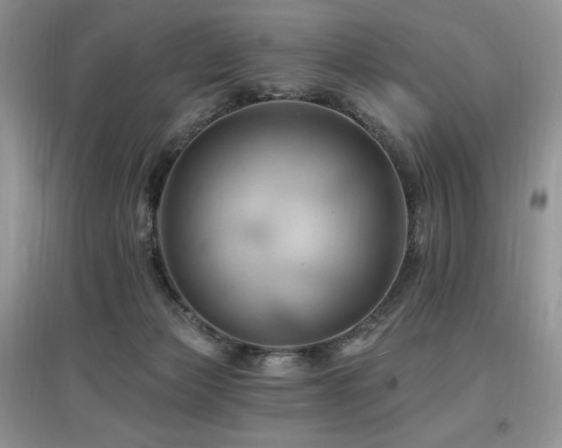 X0000097830173200803141153