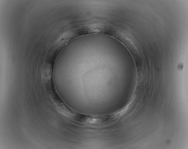 X0000097830174200803141153