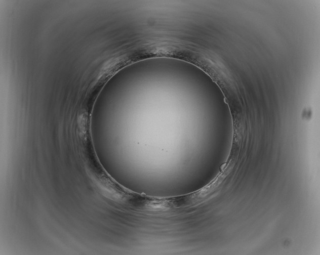 X0000097830175200803141153
