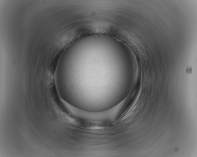 X0000097830176200803141153