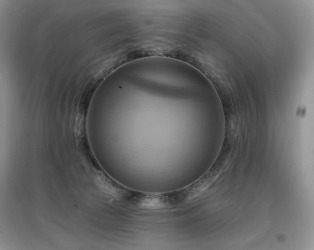 X0000097830177200803141153