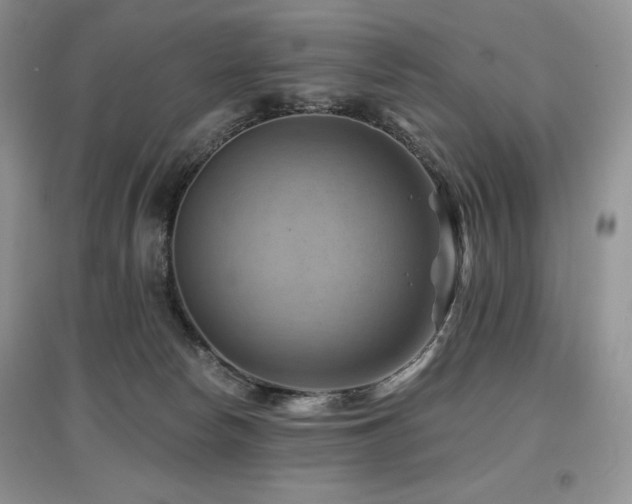 X0000097830178200803141153