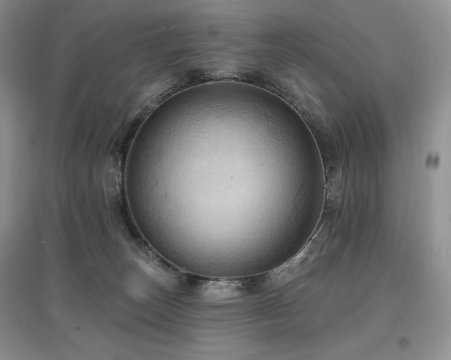 X0000097830179200803141153
