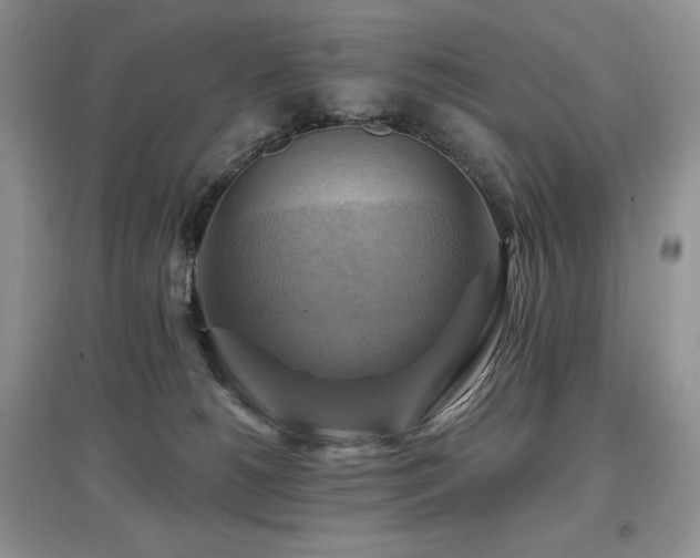 X0000097830180200803141153